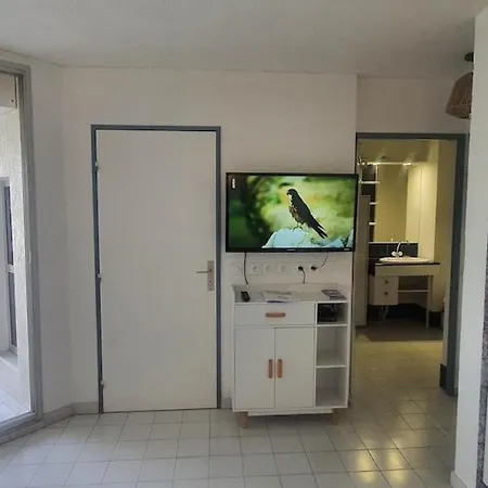 Agreable F2 Loggia Vue Port Parking Apartment Carnon-Plage