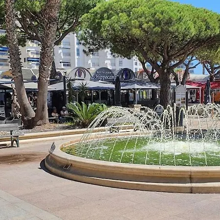 Apartment Agreable F2 Loggia Vue Port Parking Carnon-Plage