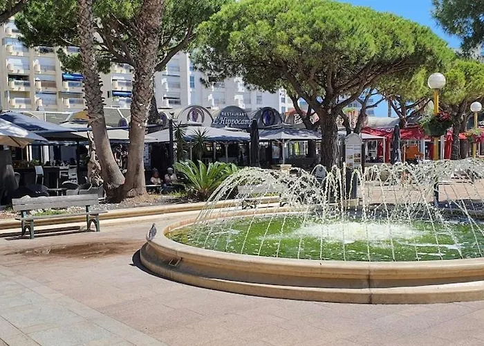 Διαμέρισμα Agreable F2 Loggia Vue Port Parking Carnon-Plage