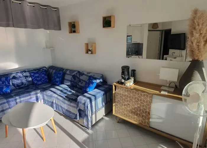 Agreable F2 Loggia Vue Port Parking Carnon-Plage