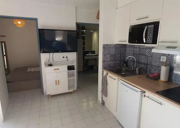 Agreable F2 Loggia Vue Port Parking * Carnon-Plage