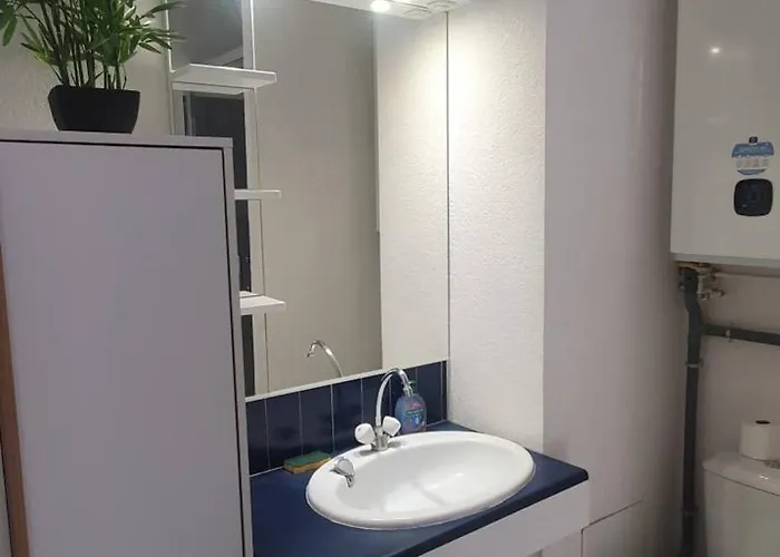 Διαμέρισμα Agreable F2 Loggia Vue Port Parking Carnon-Plage